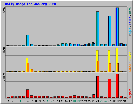 Daily usage for January 2020