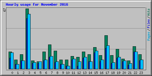 Hourly usage for November 2016