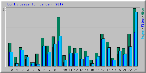 Hourly usage for January 2017