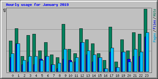 Hourly usage for January 2019