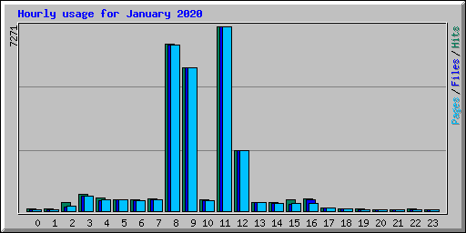 Hourly usage for January 2020